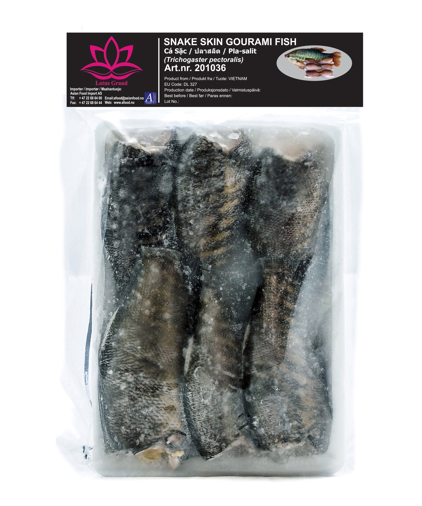 LOTUS Snake skin Gourami fish 400g-25 _ 201036