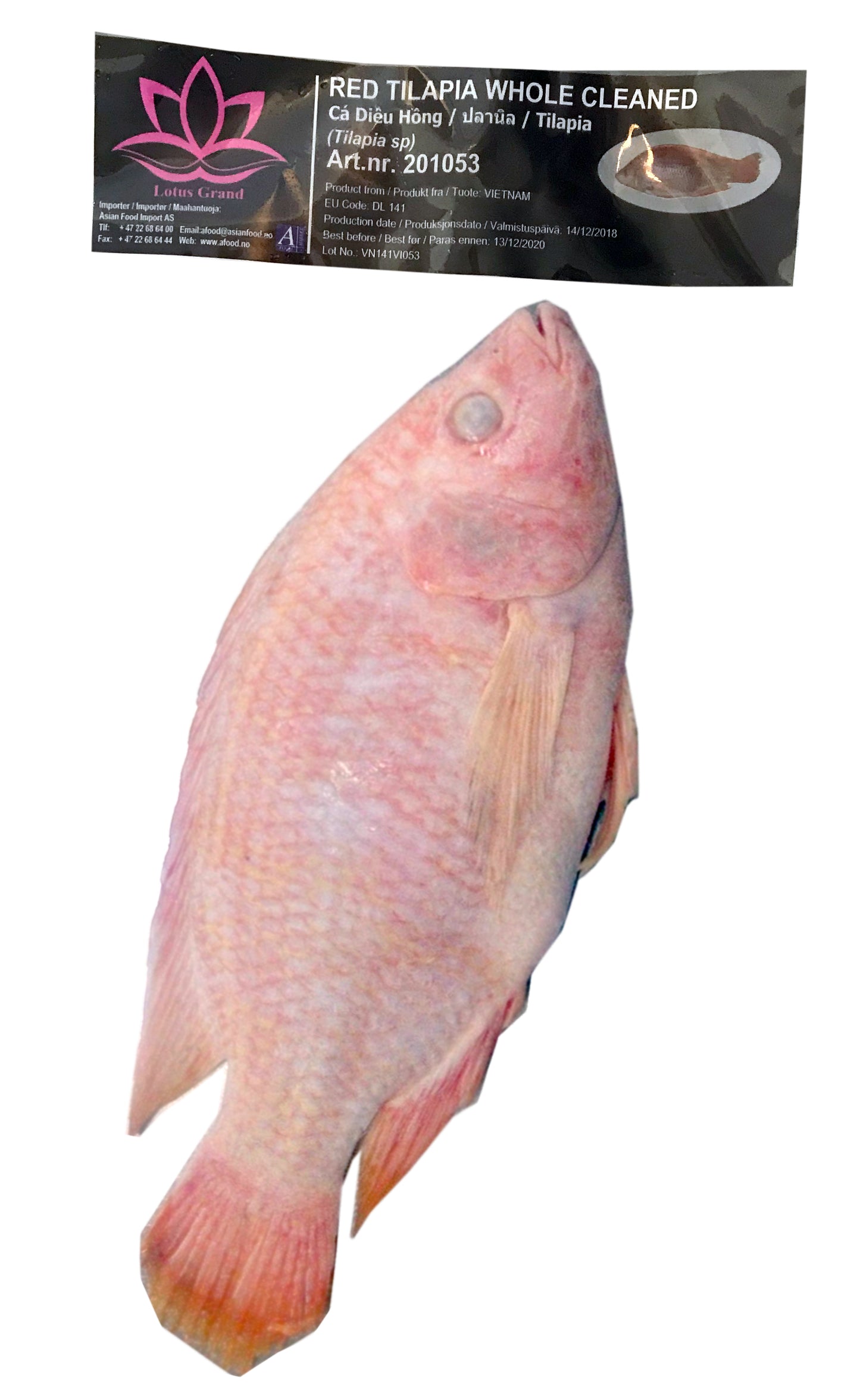 LOTUS Red Tilapia (ca 700g/stk) kg VN-10 _ 201053