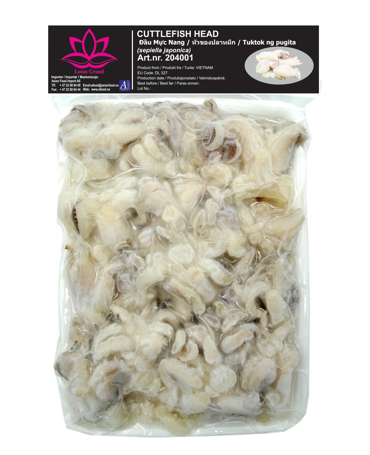 LOTUS Cuttlefish head 1kg-10 _ 204001