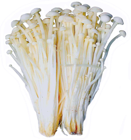 Enoki mushroom 100g Nam gia 800043