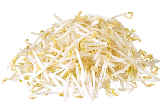 Bean sprouts ca.200g Bønnespirer 800087