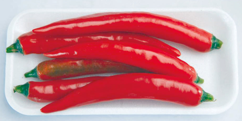 Chili (big) 100g 800089