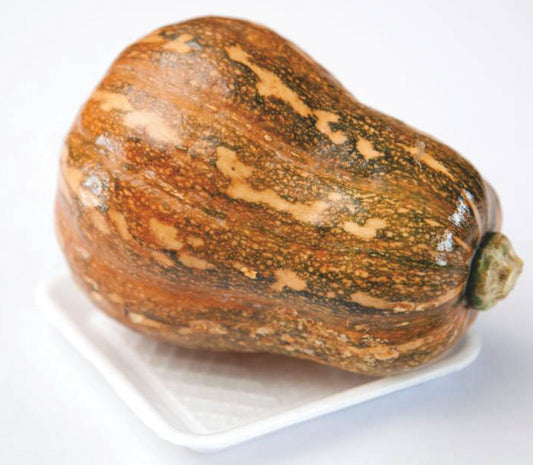 Big pumpkin 1kg TH Thai gresskar / Bi do Thai 800161